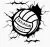 logo Tananai Volley